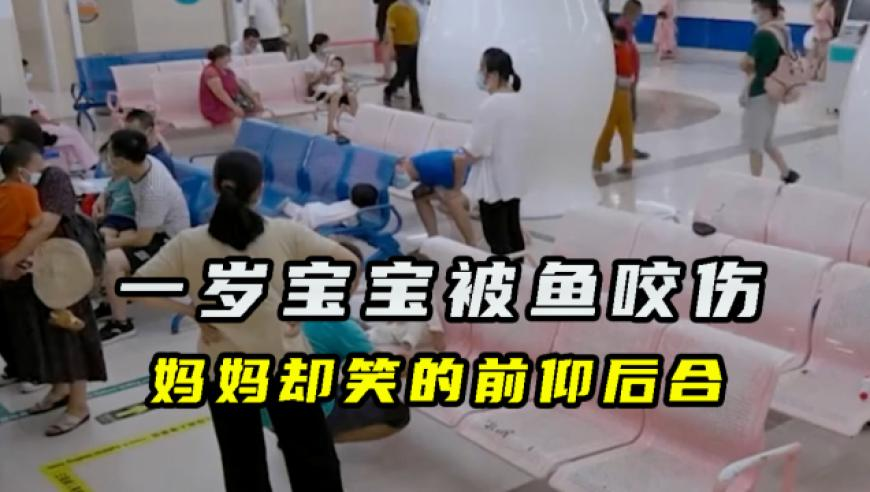养了10年的狗跳起来咬向主人喉咙,管家婆一肖一码2025年澳i,创新典义解读_破例版V15.97