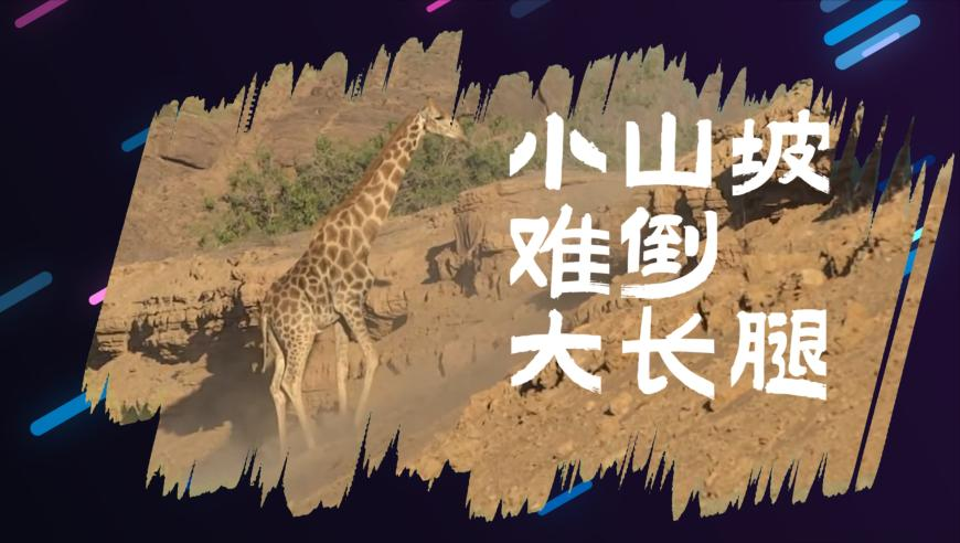 2025香港正版全年资料,男子把哪吒敖光申公豹画成巨幅墙绘,创造力策略实施推广_入门版V10.100