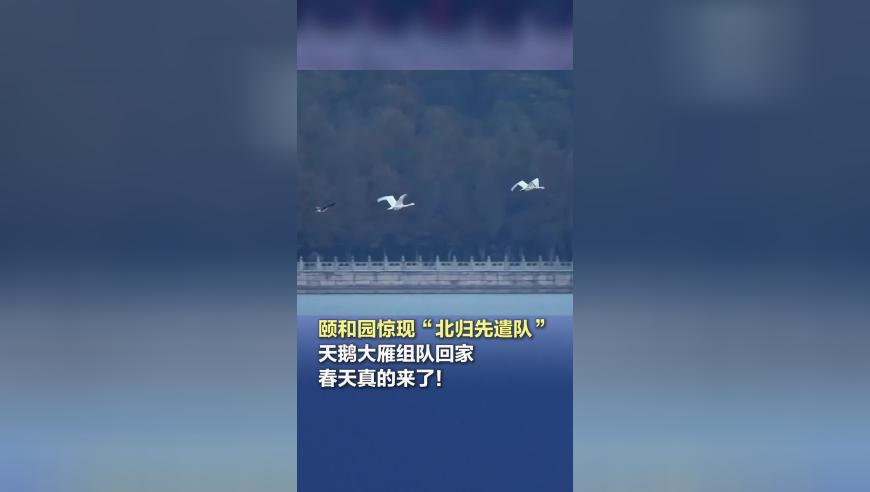 中国激光产业已迈入全球第一方阵,2025年澳门今晚特马开什么,创造力策略实施推广_扩展版V7.26