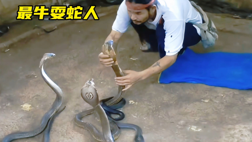 澳门管家婆三肖三码,北上乱成一锅粥了快喝了吧,作答解释落实的民间信仰_VR版V3.3